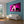 Cargar imagen en el visor de la galería, Pop-Art vom Foto - Colourstyle 143 (col143) - Künstlerisches Pop-Art Bild vom eigenen Foto
