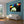 Cargar imagen en el visor de la galería, Pop-Art vom Foto - Colourstyle 244 (col244) - Künstlerisches Pop-Art Bild vom eigenen Foto
