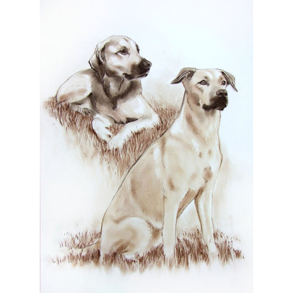 Dibujo digital en sepia a partir de una foto (d-zei-s)